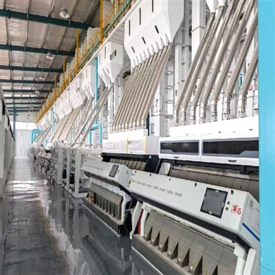 Rice Destoning Machine